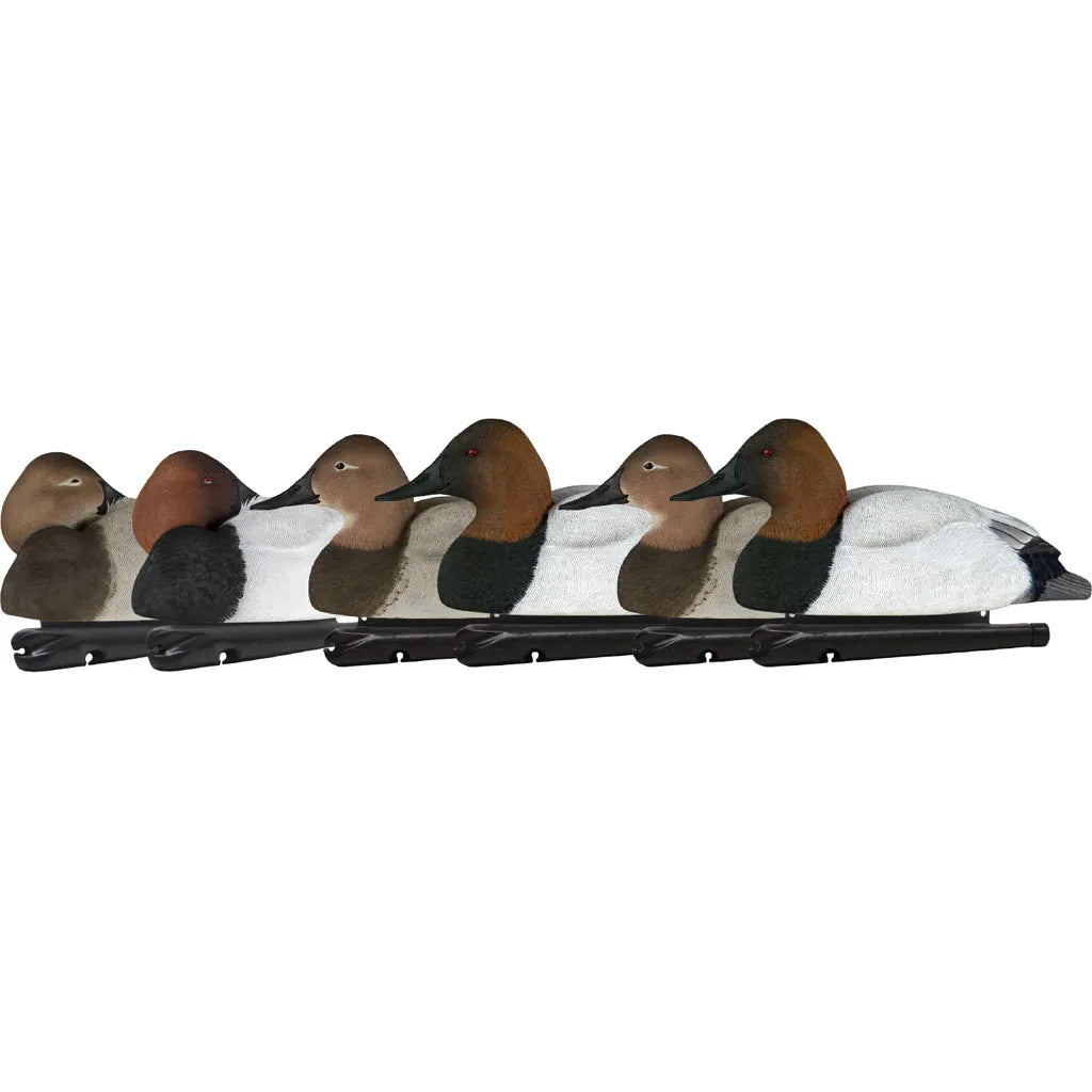 AvianX Top Flight Duck Decoys (Canvasback 6 pk.)