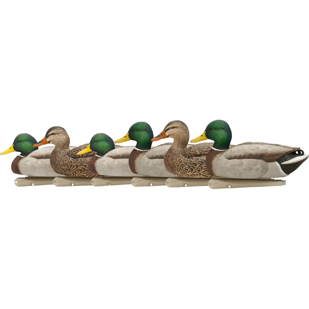 AvianX Top Flight Duck Decoys (Open Water Mallard 6 pk.)