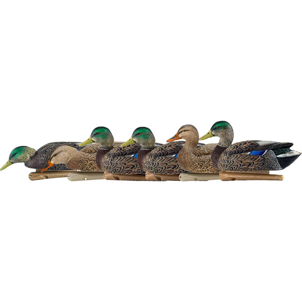 AvianX Top Flight Duck Decoys (Early Season Mallards 6 pk.)