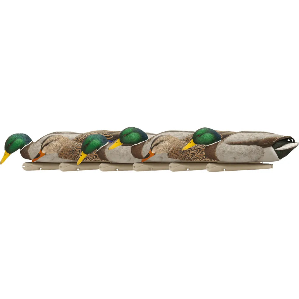 AvianX Top Flight Duck Decoys (Backwater Mallards 6 pk.)