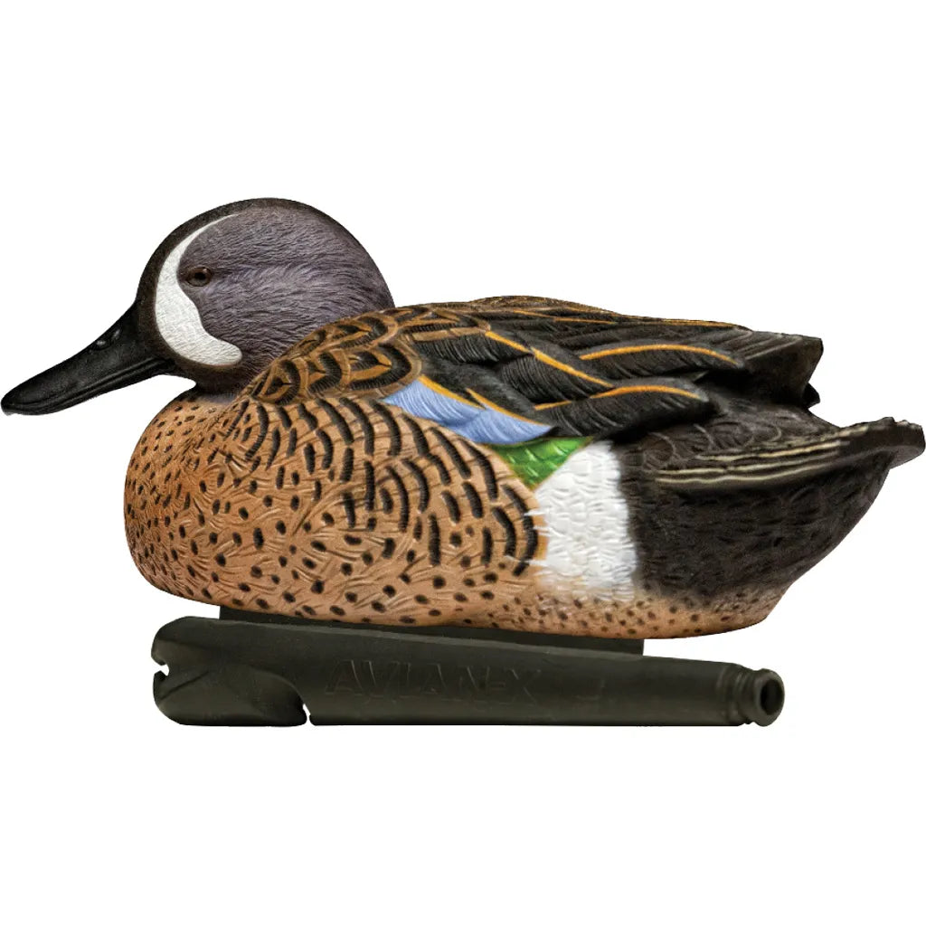 AvianX Top Flight Duck Decoys (Blue-Winged Teal 6 pk.)