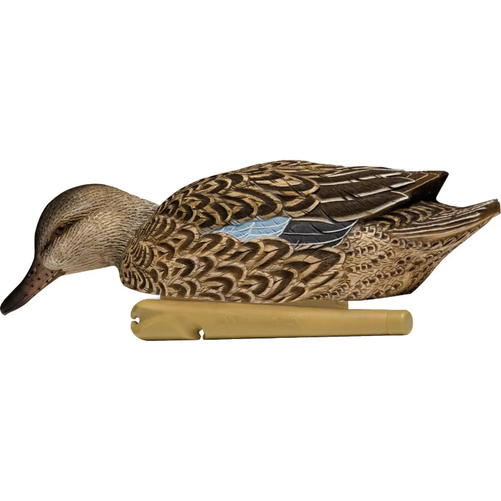 AvianX Top Flight Duck Decoys (Blue-Winged Teal 6 pk.)