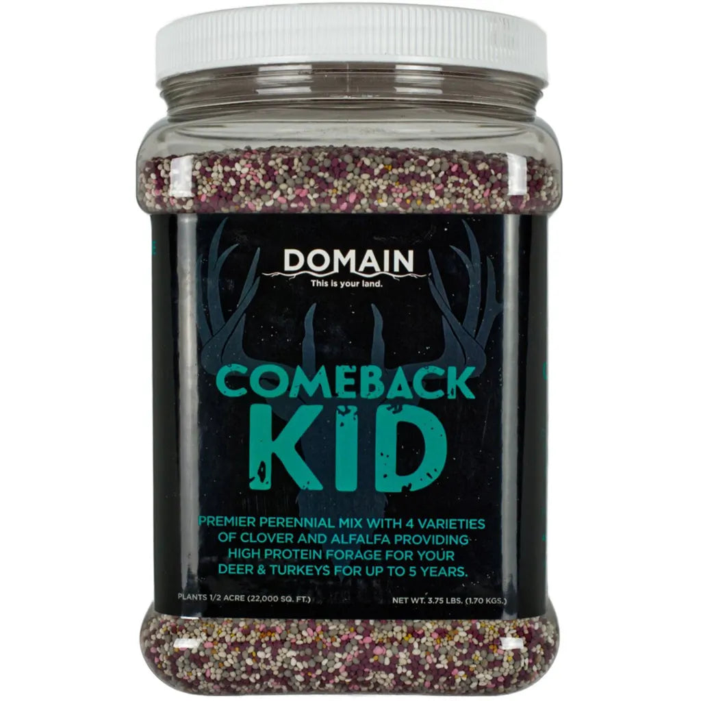 Domain Comeback Kid Seed