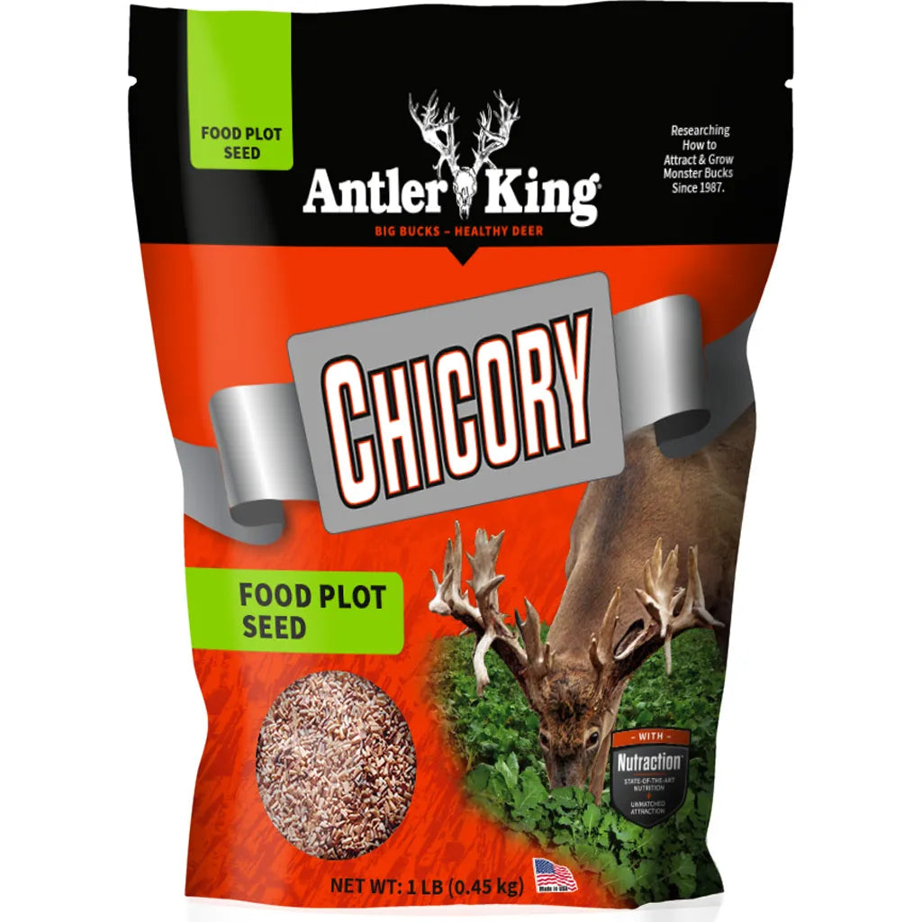 Antler King Chicory Seed