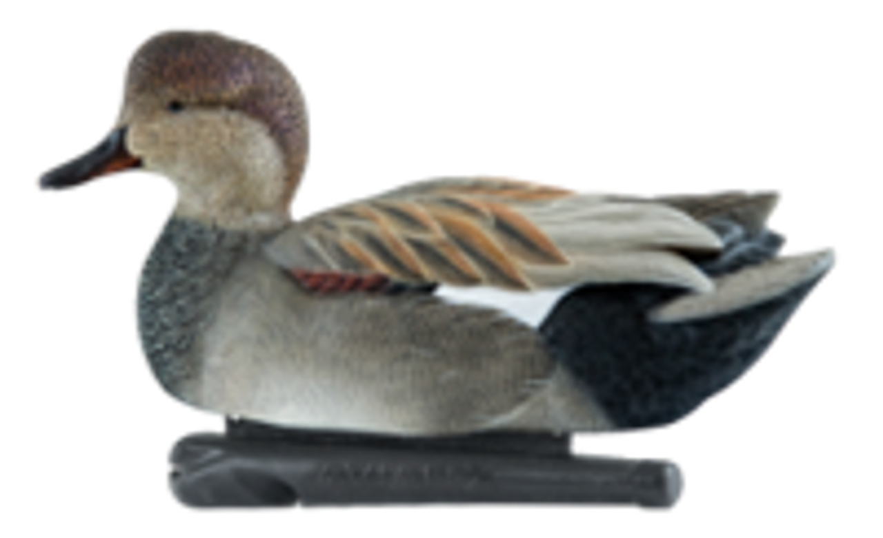 AvianX Power Swimmer Duck Decoy (Gadwall Drake)