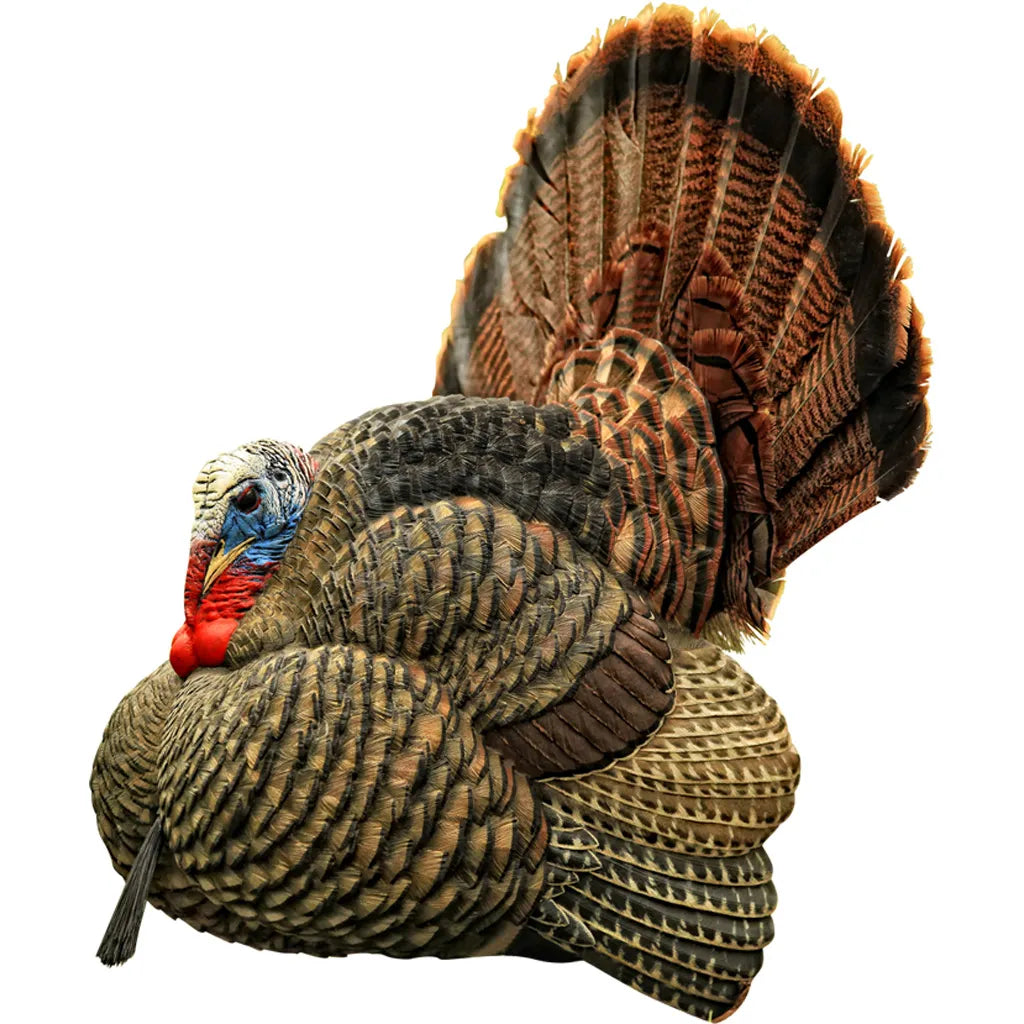 Avian X Strutter Turkey Decoy