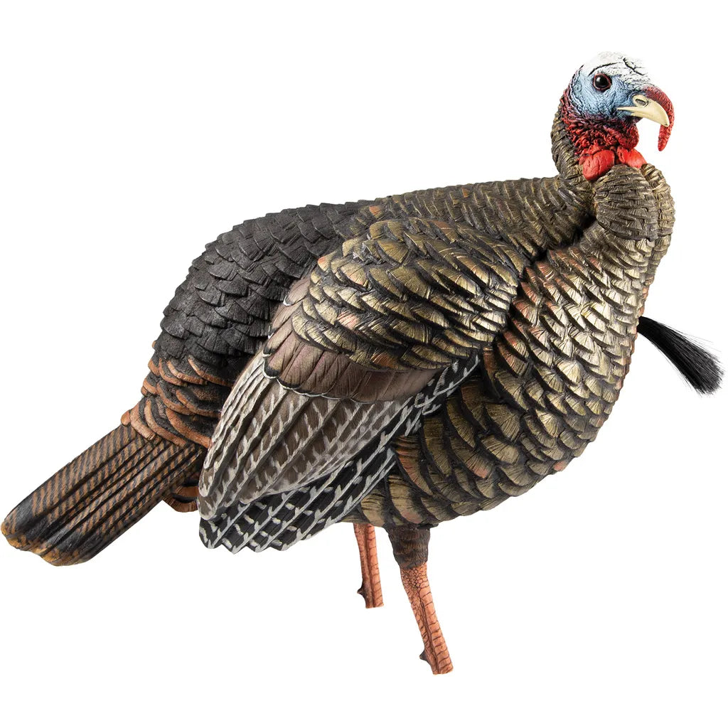 Avian X HDR Jake Decoy